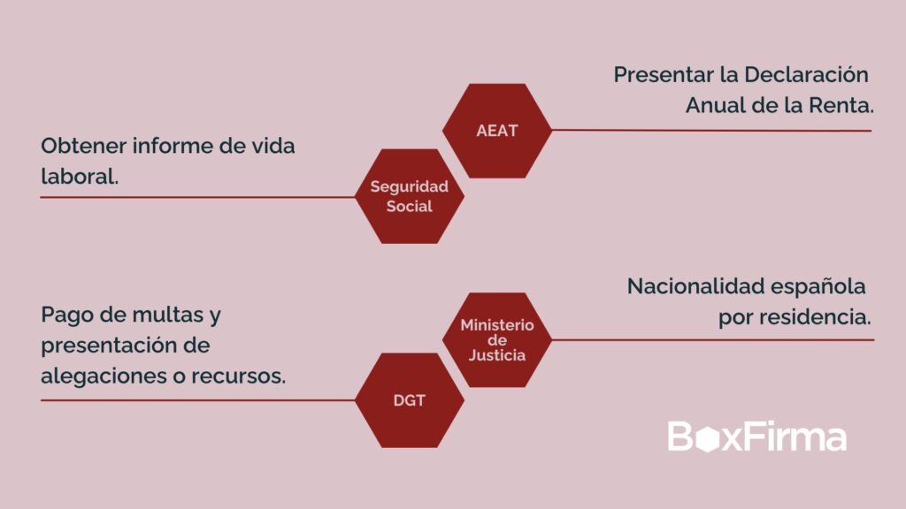 Gráfica con los trámites que puedes hacer con el certificado digital en sedes digitales.